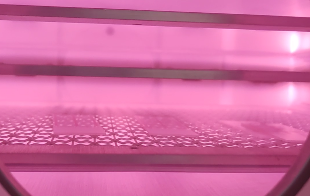 Plasma芭乐视频色app下载机