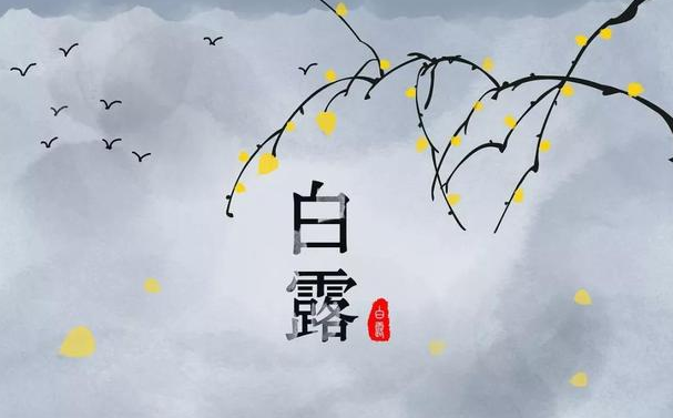 今迎白露，盛夏退场-芭乐视频下载黄版芭乐视频色app下载机