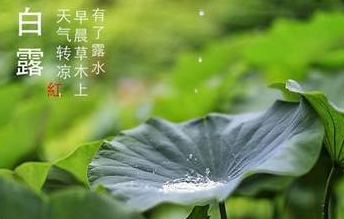 今迎白露，盛夏退场-芭乐视频下载黄版芭乐视频色app下载机