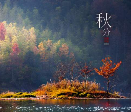 2020秋分-芭乐视频下载黄版芭乐视频色app下载机
